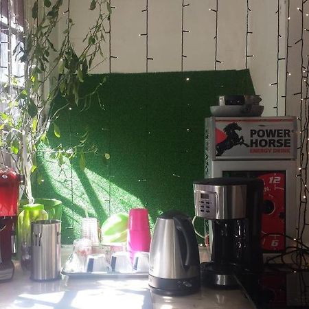Art Studio Braşov Eksteriør bilde